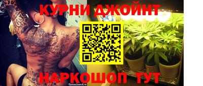гидра Берёзовский