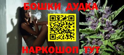 Альфа ПВП Бийск