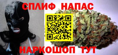 гидра Берёзовский