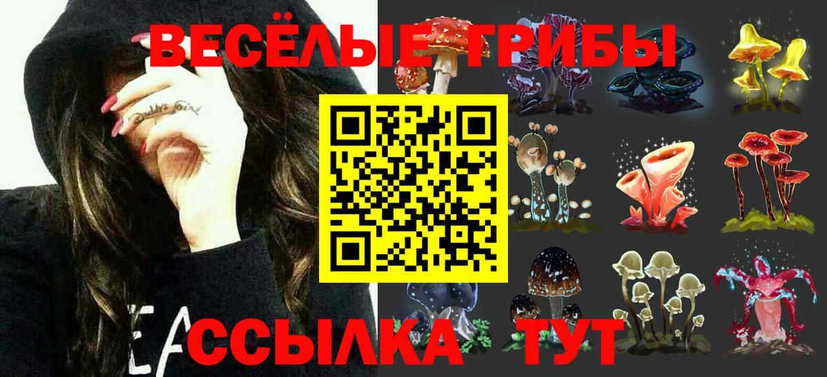 Псилоцибиновые грибы мицелий  Вход с VPN  Кириши 
